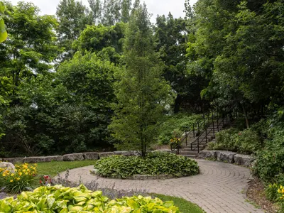 Scenic pathway with trees and gardens at the bottom of a staircase.