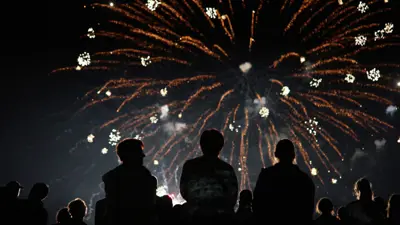 A group of people watching fireworks in the sky at night.
