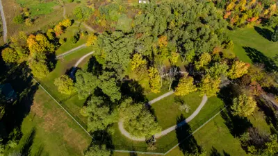 Woodlot with looping paths