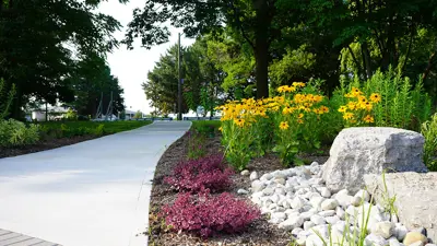 Paved pathway bordered by yellow flowers, greenery, and landscaping rocks.